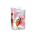 Plug anal large rose-or - e4d2f134-a65e-4144-a9b4-e5f8de48d875_6bb118bc-38a0-472a-8669-d44d9f31e2d5