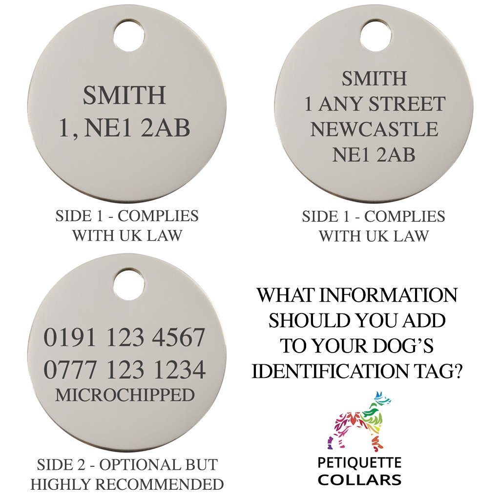 what needs to be on a dog tag