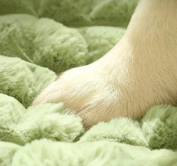 Comfortable Thick Dog Bed for Pets - Washable Design - PetFitWorld