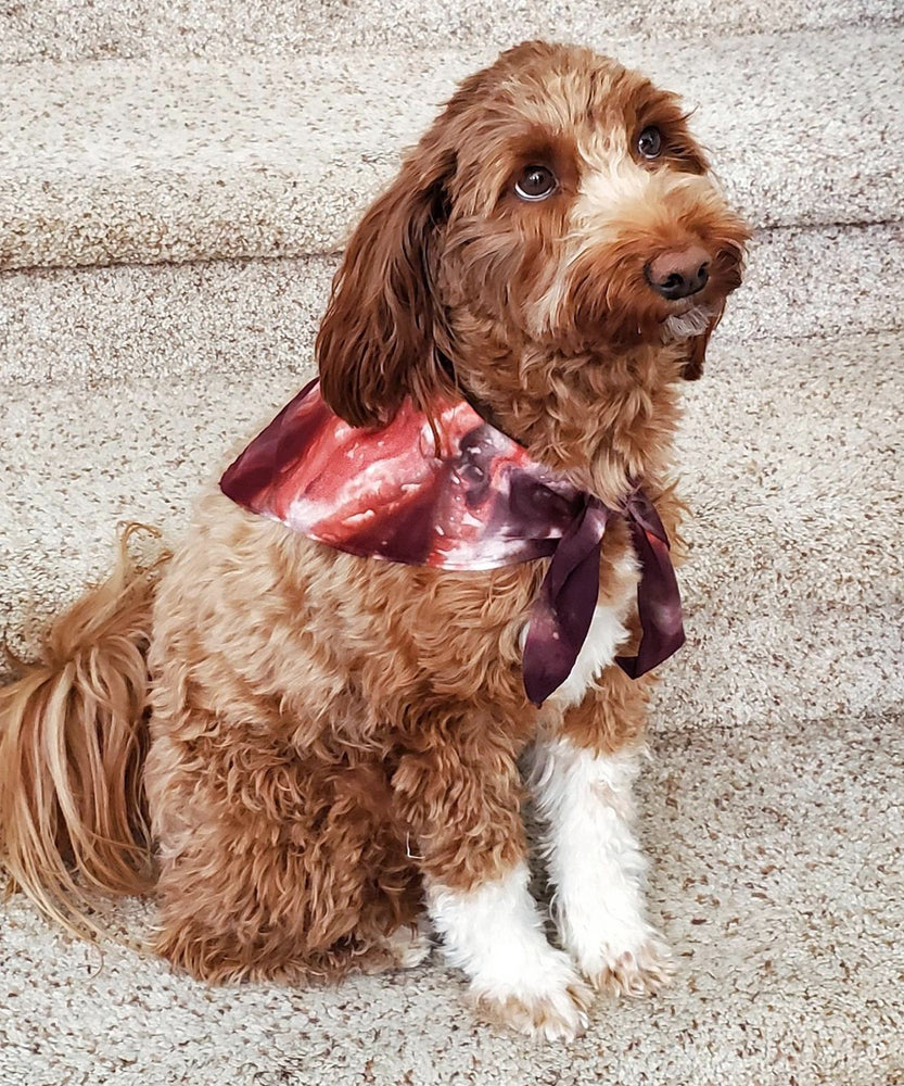 Tie On Dog Bandana Tie Dye  Tie Dye Dog Accessories : Moose With Me® –  Woolf With Me®