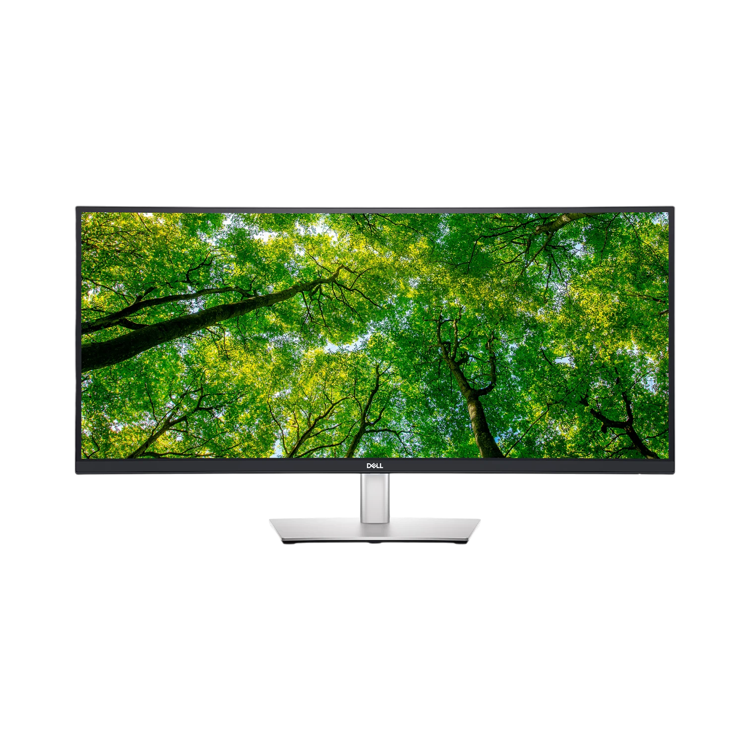 Dell P3424WE 34" 1440p Curved Ultrawide Monitor