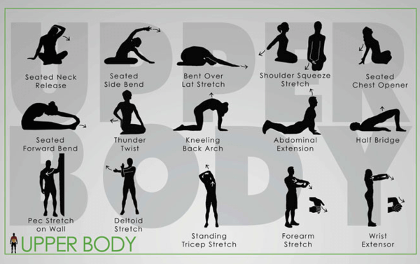 Un diagrama de estiramientos de la parte superior del cuerpo para profesionales del comercio antes de comenzar la jornada de trabajo.