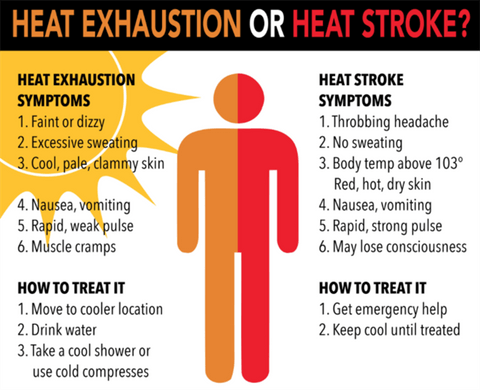 This diagram shows the difference between heat exhaustion and heat stroke symptoms, and how best to treat each condition.