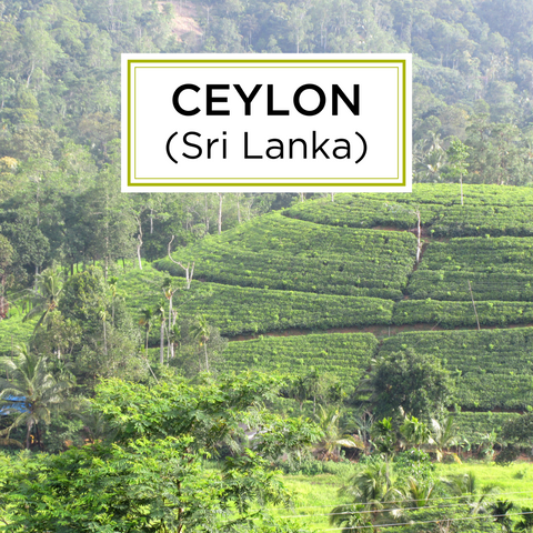 Ceylon Tea Regions