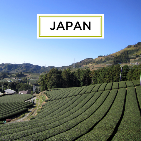 Japanese Tea Regions