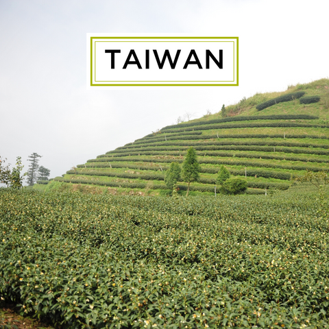 Taiwanese Tea Regions