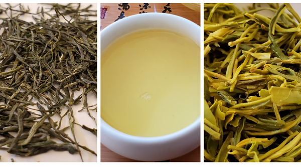 Loose leaf and liquor of Gu Zhang Mao Jian Chinese green tea