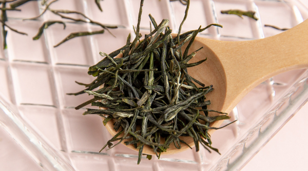 Loose leaf Gu Zhang Mao Jian Chinese green tea