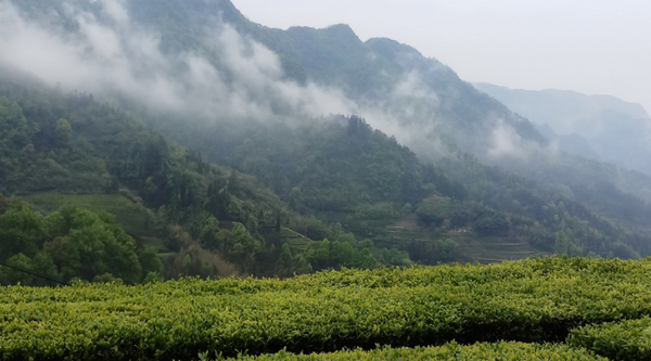 Wuling Mountains in Hunan Province, China