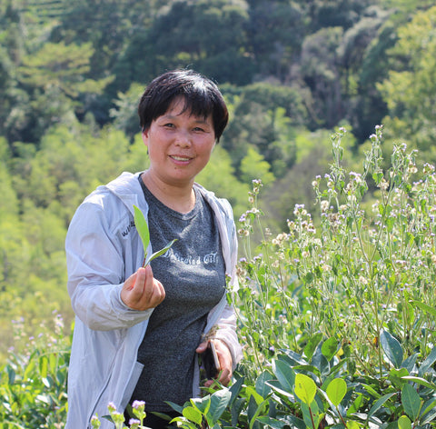 Ms. Zeng Puyu tea maker