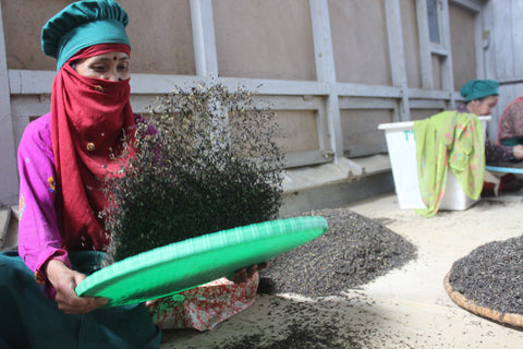 a tea worker is shaking the leaves, while the leaves are going through sun withering