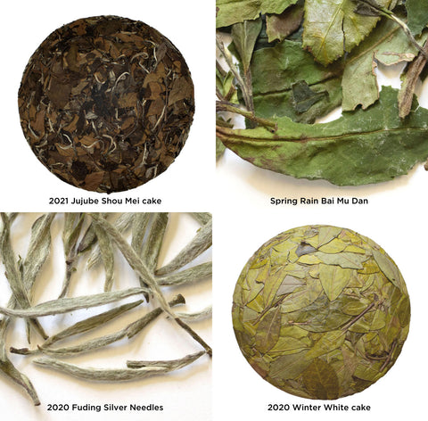 White tea leaf styles