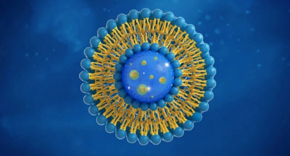 Image of a liposome.