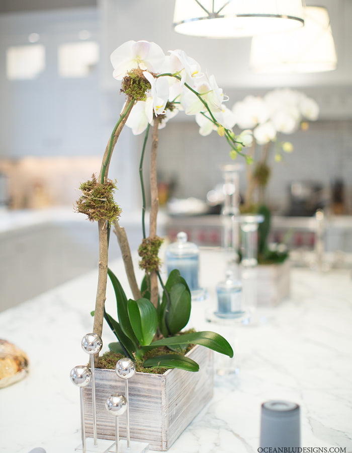 Coastal Home Design Showcase - Long Island, NY | Kitchen Dining Room