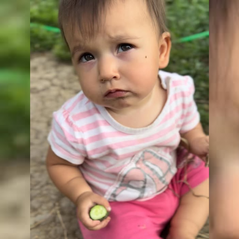 a baby eats a cucumber