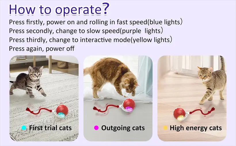 Drive Cat Rolling Balls @chichicmart