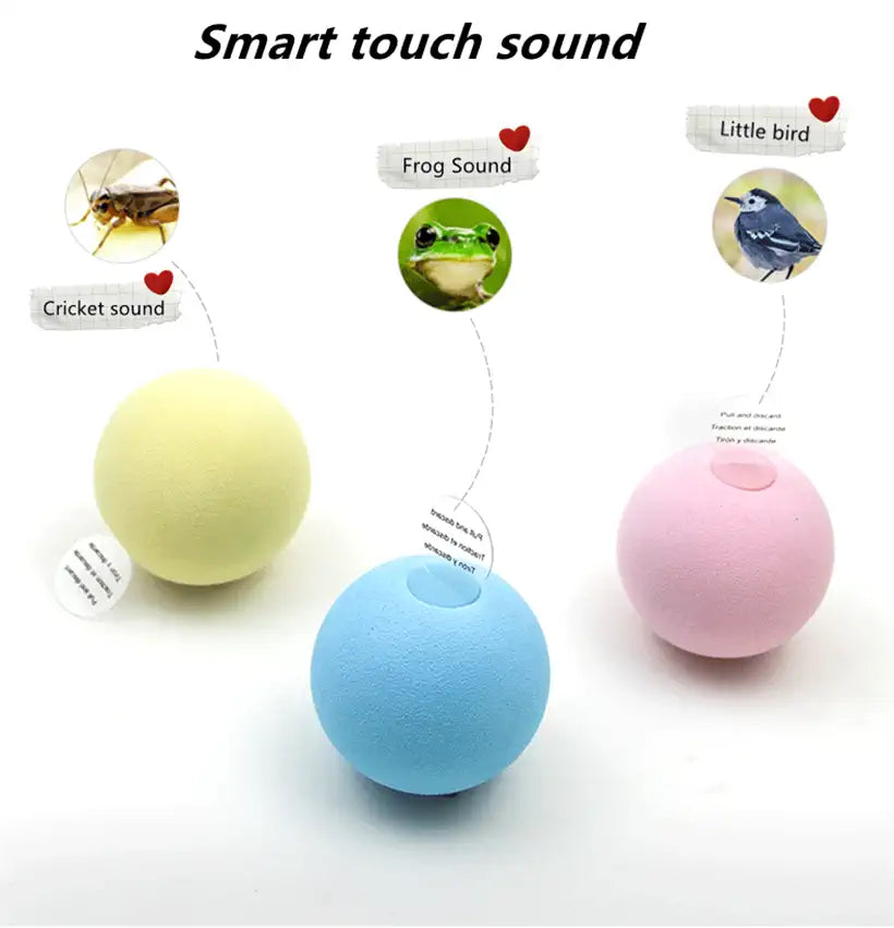 Smart Cat Toys @chichicmart