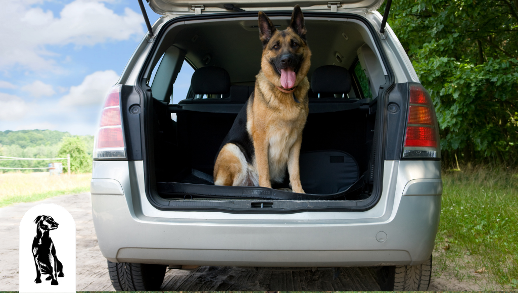 how long can a dog travel in a car