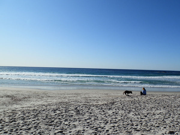 Carmel, California