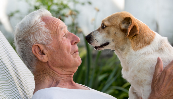 Dogs love gazing into your eyes