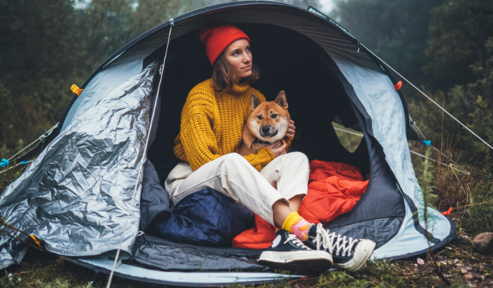 How to Prep for a Camping Trip with Your Dog
