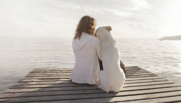 What You Need to Know About Emotional Support Dogs