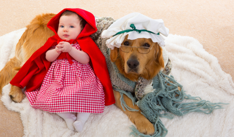 5 Pawsome Matching Halloween Costume Ideas for Dogs and Owners