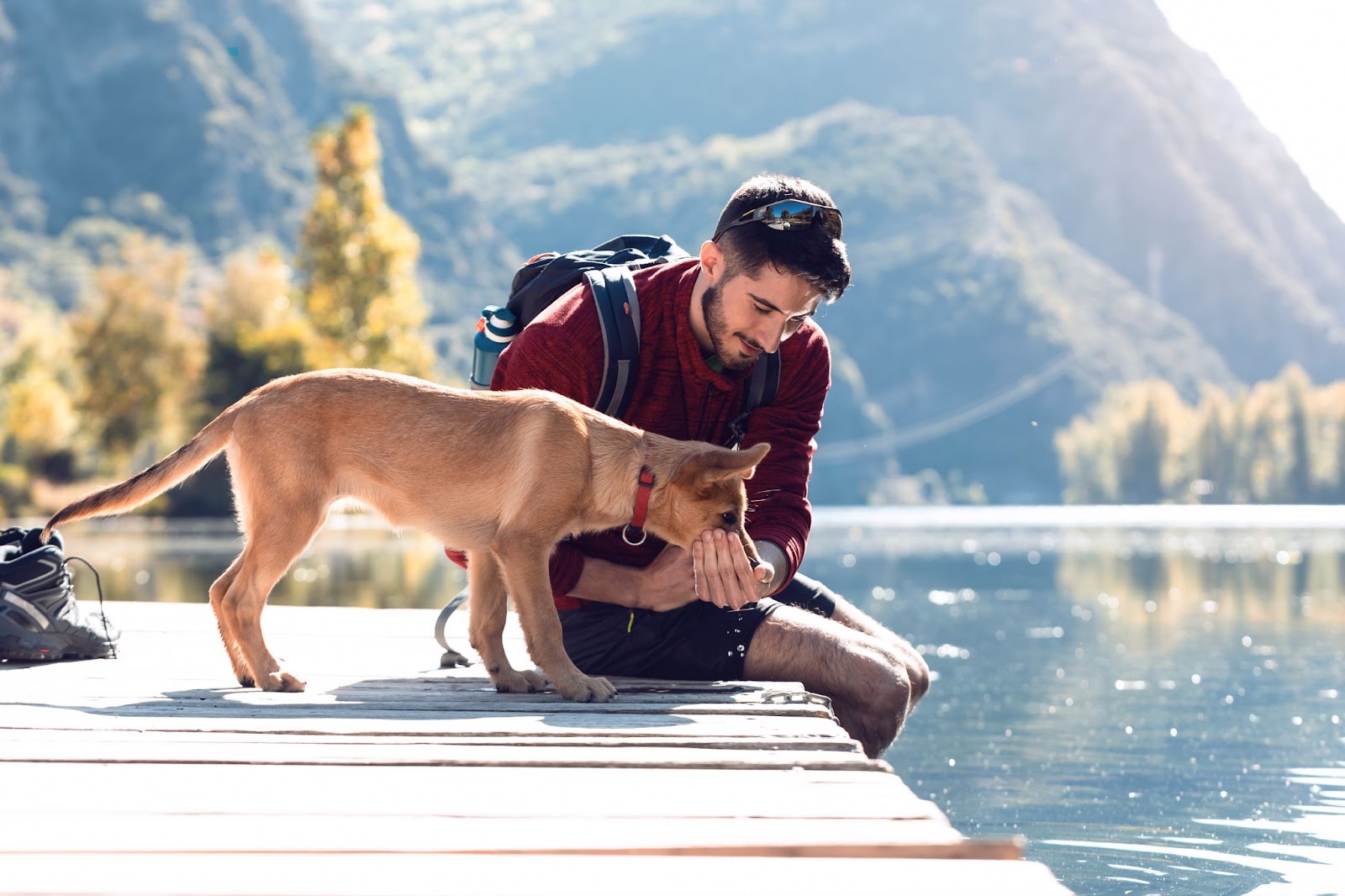 Man ensuring dog's safety by petting it on a dock during outdoor activity
