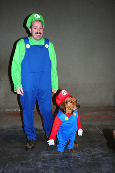 mario luigi dog Halloween costume