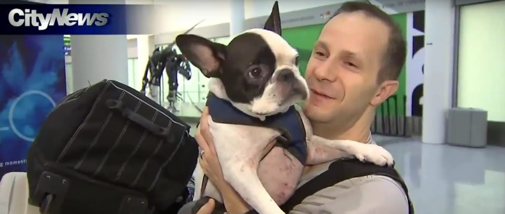 Air Canada Pilot Diverted The Flight to Save The Life of A Dog