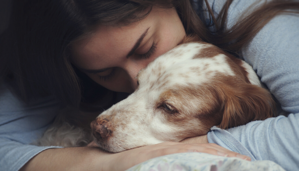 What You Need to Know About Emotional Support Dogs