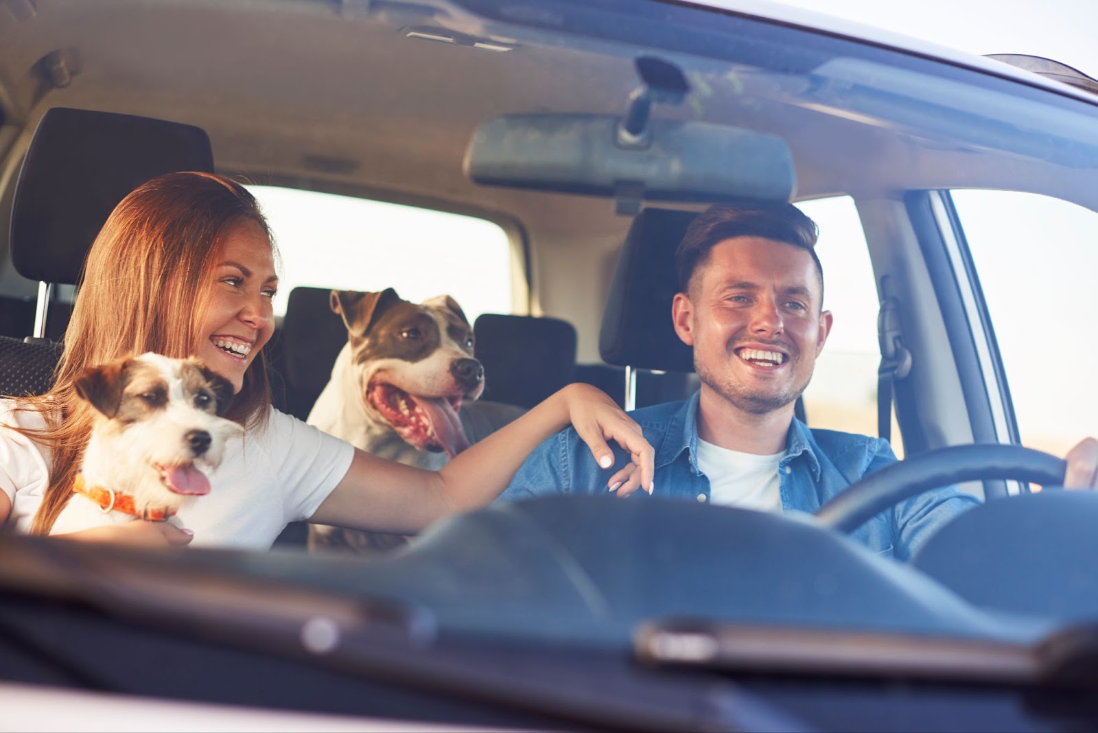 Two people smiling in a car with two dogs, one in the front seat and one in the back.