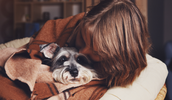 Why Shouldn’t Dogs Stay Outside in the Winter?