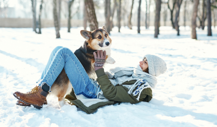 Can Corgis Handle Cold Weather?