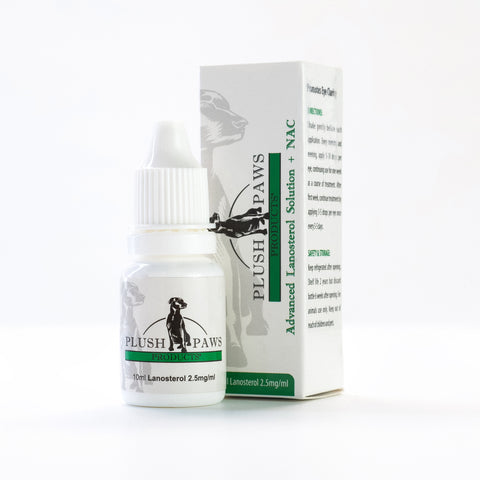 Plush Paws Products Offers the Best Dog-Friendly Eye Drops