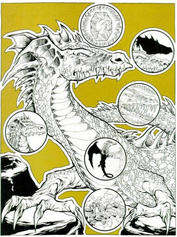 The illustration found in the article Dragon Dweomers. It shows a dragon drawn in black and white against a gold background. Around the dragon are several circles, which show smallers dragons, and representations of the various spells detailed in the article