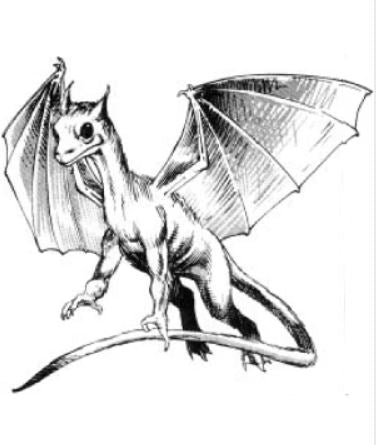 A black and white illustration of a small dragon with big black eyes