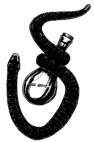 A black and white illustration of a snake wrapped around a potionbottle