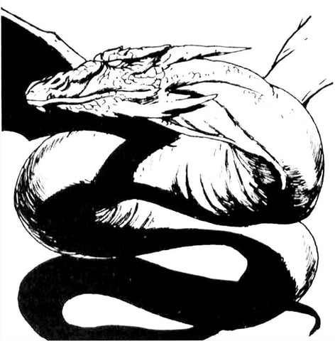 A black and white illustration of a Sun Dragon. It is a long, snake like dragon with wings and no legs