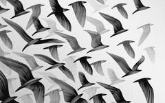 A greyscale representation of a flock of birds against a white background
