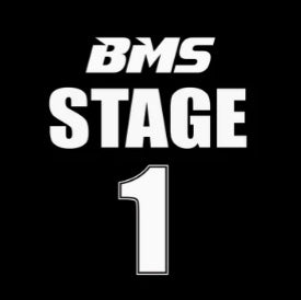 BMS Stage 1 Tuner for N63 and S63 BMW