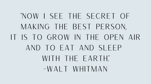 Walt Whitman quote