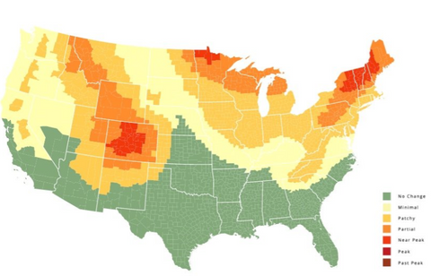 Fall foliage map