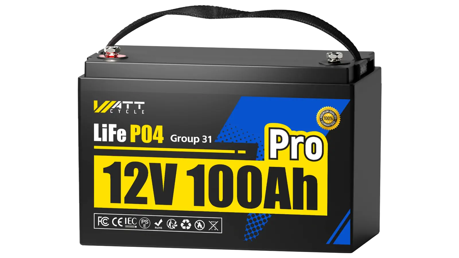 WattCycle 12V 100Ah Pro Lithium Batterie mit 110A BMS