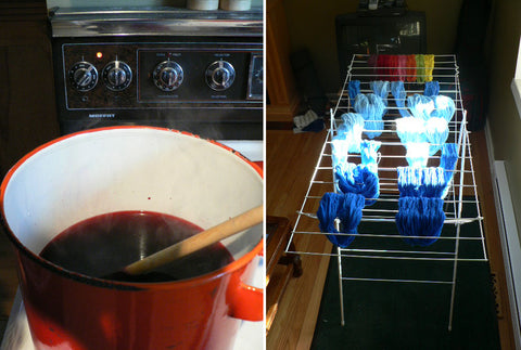 First dye experiments in our home kitchen