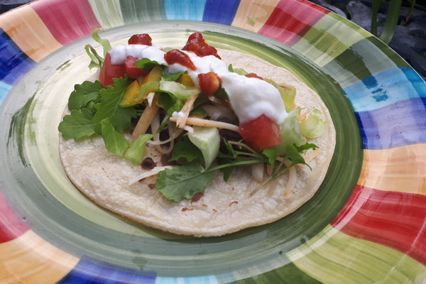 veggie taco on colourful plate topped with mustard greens and salsa