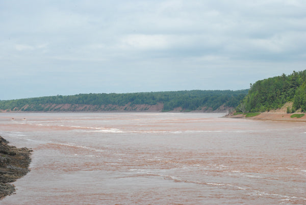 Shubenacadie tidal bore