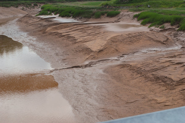 Shubenacadie river bed