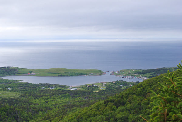 View overlooking Bay Saint Lawrence 