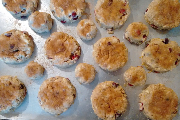 Big and mini cranberry scones on baking tray